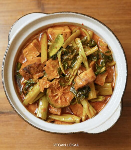 tepo curry vegan vegetarian thai recipe 1